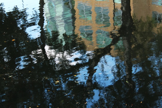 photo of reflection on water